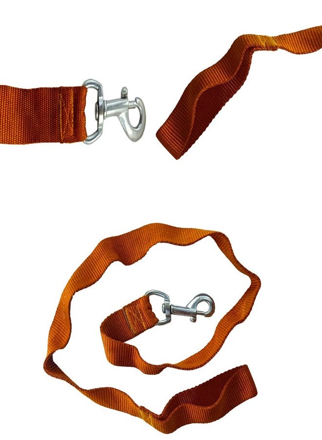 DIY Crafts Pack of 3 Pcs, Orenge, Collar Belt Chain & Leash for Puppies, Dogs (Pack of 3 Pcs, Orenge) - Image 3